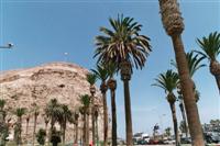 Arica